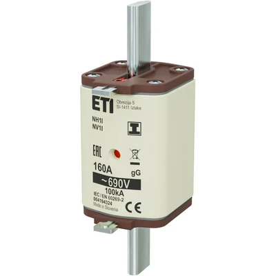 NH1/I gG 160A/690V NH fuse link - time-delay / KOMBI / Insulated hooks