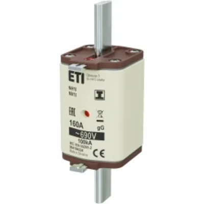 NH1/I gG 160A/690V NH fuse link - time-delay / KOMBI / Insulated hooks