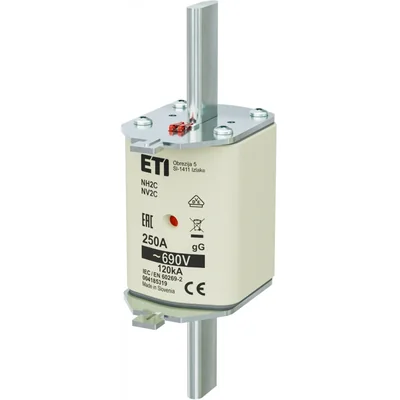 NH2C gG 250A/690V fusibile NH - lento / KOMBI