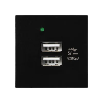 NOEN USB x 2, doppia porta modulare 45x45mm con caricatore USB, 2.1A 5V DC, nero