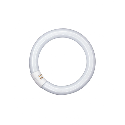 Non-integrated circular fluorescent lamp 22W G10q 62V 1300lm CW