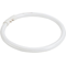 Non-integrated circular fluorescent lamp 22W G10q 62V 1300lm CW