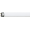 Non-integrated fluorescent lamp 36W G13 230V 3100lm NW