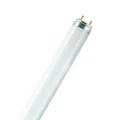 Non-integrated linear fluorescent lamp NL 58W G13 5200lm NW