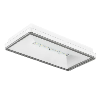 Not-Anti-Panik-Leuchte 150lm 3H 2,5W 230V IP65