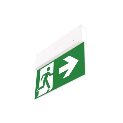 Notleuchte Directo S M 1H AT + (VD3, VD4, VD5 x 2) / 90381 230V