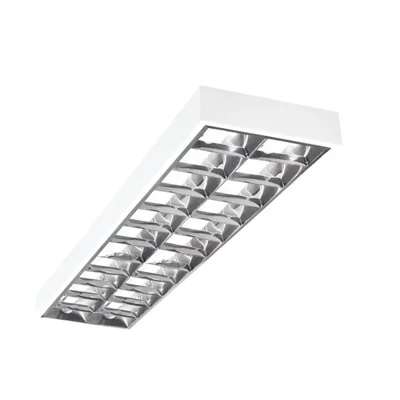 NOTUS 3WS EVG 236 NT Aufputz-Lamellenleuchte