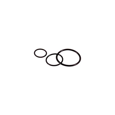 O-RING SKINDICHT PG 29/34 x2