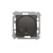 Off delay switch (module) 20-500 W, matt bronze metallic