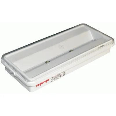 Oprawa awaryjna HERKULES-P5 AT 2C LED Ciemna