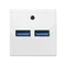 OSPEL45 USB charger - white GK-2USB/00