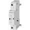 P-SOL-XUV (230V 50/60Hz, 240V 50/60Hz) Sgancio ritardato per sottotensione, 230 V CA