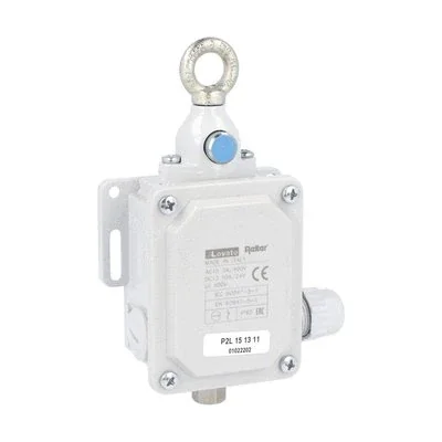 P2L151311 Interruptor de límite, 2 contactos NA+2 NC. 40N