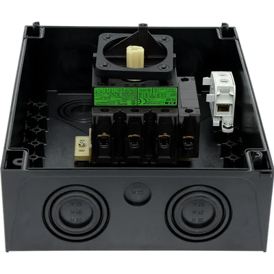 P3-100/I5/SVB/N Interruptor principal, 3 polos + N, 100 A, en carcasa IP65, pomo rojo-amarillo con candado