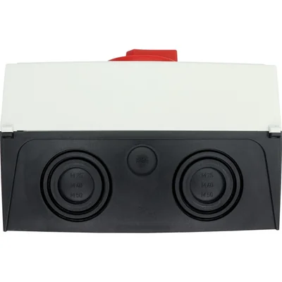 P3-100/I5/SVB/N Interruptor principal, 3 polos + N, 100 A, en carcasa IP65, pomo rojo-amarillo con candado