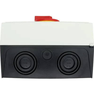 P3-100/I5/SVB/N Interruptor principal, 3 polos + N, 100 A, en carcasa IP65, pomo rojo-amarillo con candado