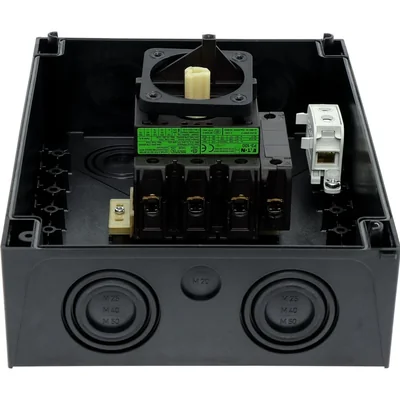 P3-100/I5/SVB/N Main switch, 3 poles + N, 100 A, in IP65 enclosure, red-yellow knob with padlock