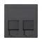 Панель S500 2x RJ з захистом PANDUIT, графіт