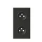 Panel Simon 100 W100-10020220x-238 de 2 módulos: 2 tomas de corriente; negro mate