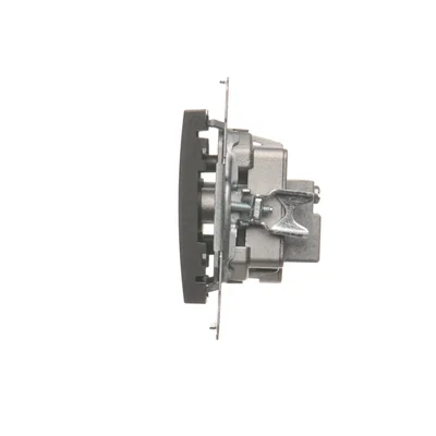 Pass-through R-TV antenna socket (module) TV and R attenuation 10dB anthracite (metallic)