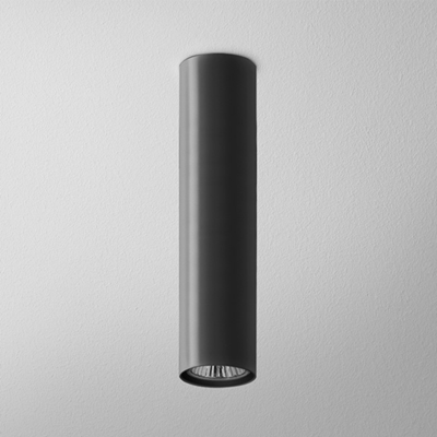 PET FINE Black matte display ceiling lamp