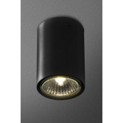 PET FINE Black matte display ceiling lamp