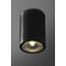 PET FINE Black matte display ceiling lamp