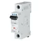 PL6-D16/1 Overcurrent circuit breaker 6kA, In=16A, D-characteristic, 1-pole, PL6 series