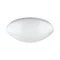 Plafoniera LED LEON LED C 16W NW