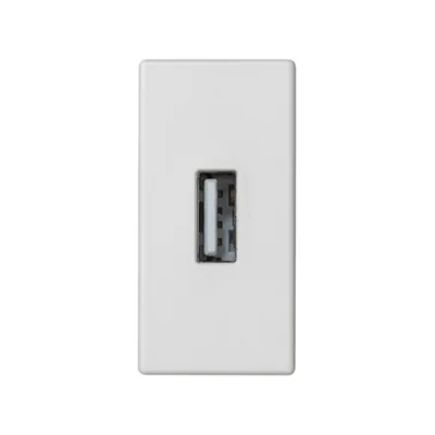 Platine K45/2 Anschlüsse USB Typ A Buchse 22, 5x45mm + Buchse, Schraubklemmen, reinweiß