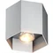 POLYGON CL 1 Brushed aluminum ceiling lamp