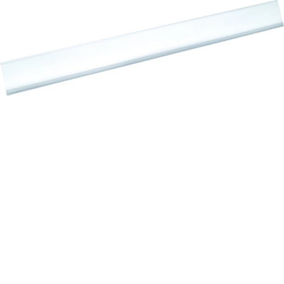 Porta etichette golfVF/VS trasparente (5 pz)