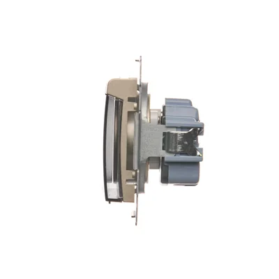 Presa a spina per versione IP44 con otturatore. SENZA GUARNIZIONE per più telai. (modulo) 16A 250V morsetti a vite sportello trasp. oro (metallico)