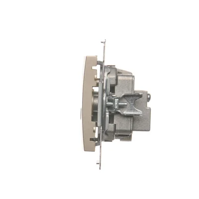 Presa antenna passante R-TV-SAT (modulo) oro (metallizzato)