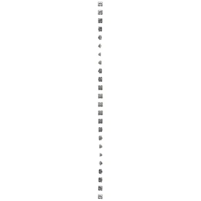 Presa antenna R-TV passante (modulo), attenuazione TV e R 10dB, argento (metallizzato)