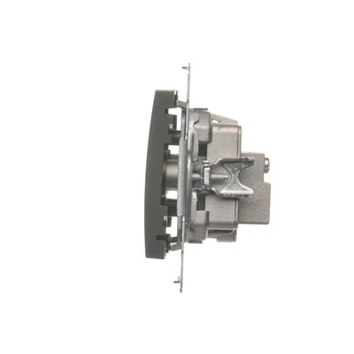 Presa antenna terminale R-TV per prese passanti (modulo) antracite (metallizzato)