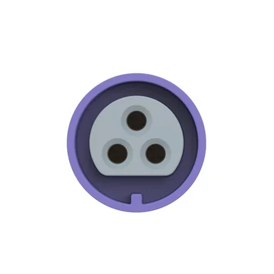 Presa da pannello diritta 32A 2P+Z 24V 50/60Hz IP66/67 (flangia 54X60, interasse fori 44X44), contatti nichelati