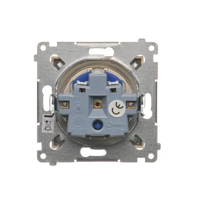 Presa DATI con chiave di autorizzazione (modulo) 16A 250V morsetti a vite oro (metallizzato)