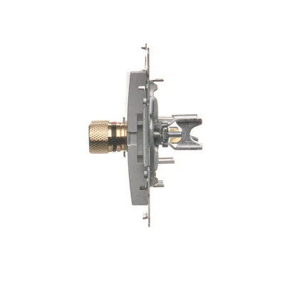 Presa per altoparlante singola (modulo), argento metallizzato