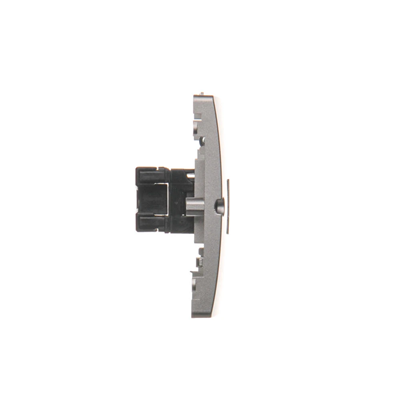 Presa singola RJ45 per computer, Cat. 5e (modulo), inox (metallico)