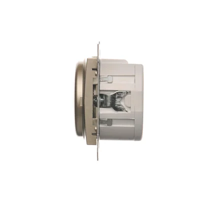 Press and remote controlled dimmer (module) 20-500W, gold (metallic)