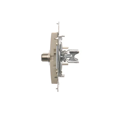 Prise d'antenne double type "F" or métallisé mat