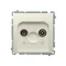 Prise d'antenne R-TV traversante (module) atténuation 10dB beige