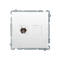 Prise d'antenne simple de type F, blanche
