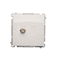 Prise d'antenne simple de type F, blanche
