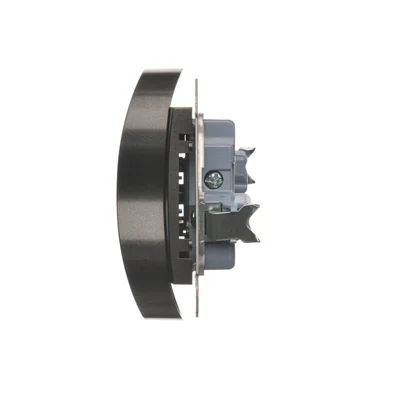 Prise double avec mise à la terre à volets (module) 16A 250V anthracite (métallique)