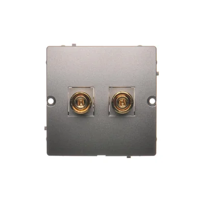Prise haut-parleur simple -1 colonne haut-parleur (module) inox (métallique)