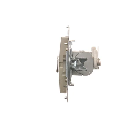 Prise informatique double RJ45, catégorie 6, blindée avec cache anti-poussière (module) or (métallique)