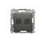 Prise ordinateur double RJ45 catégorie 6 avec cache anti-poussière (module) anthracite (métallique)