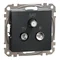 Prise pour terminal R/TV/SAT (4 dB), Sedna Design & Elements, anthracite noir